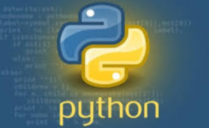 Programming in Python (HSN/SAC-999293)